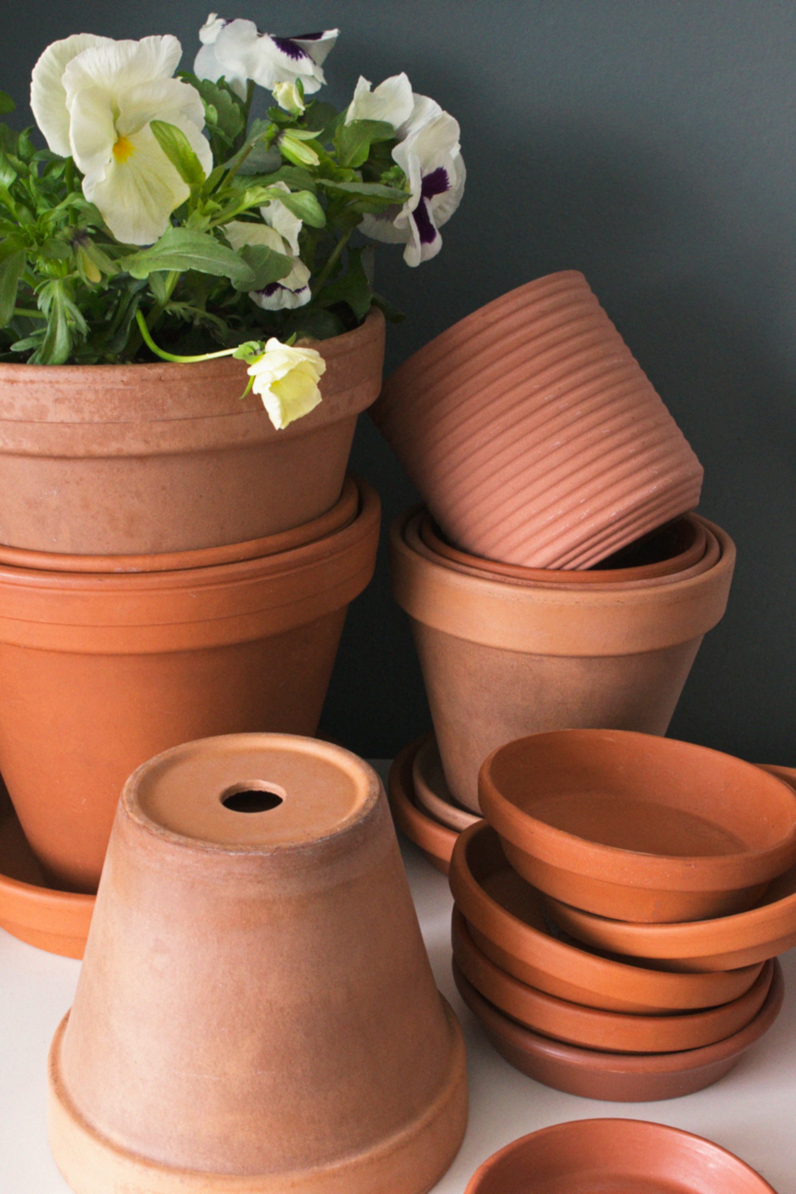 Terracotta Planters